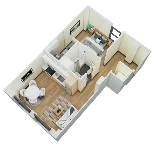 1 Bedroom, 1 Bathroom- K