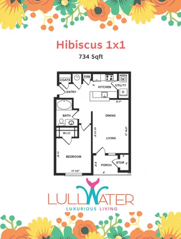 Hibiscus