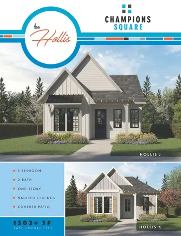 The Hollis FP Details