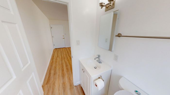 Bright, modern bathroom with sleek vanity, large mirror, and wood-style flooring.