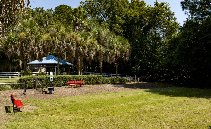 Playground and Park Area