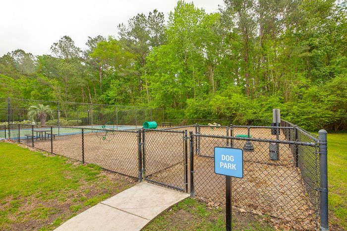 Dog Park