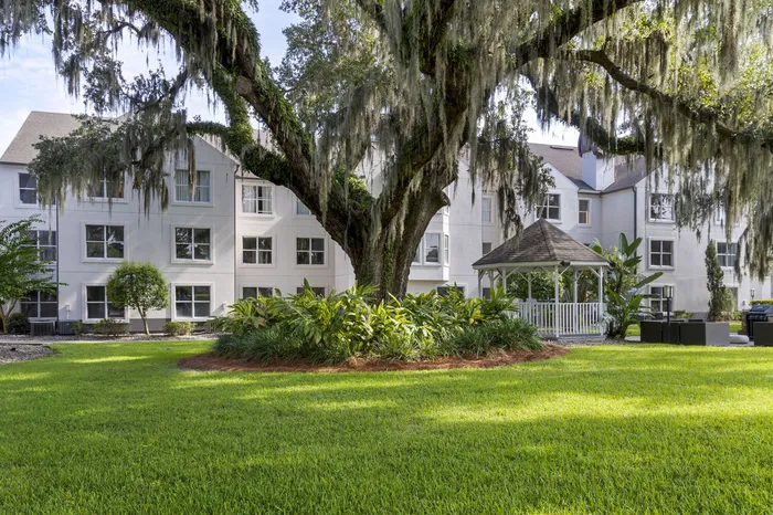 exterior apartment building with large tree in front of it in daytime