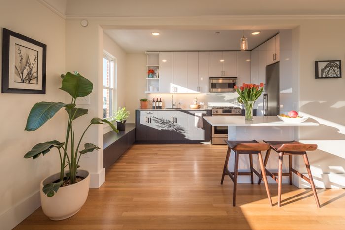 Saxonia-one bedroom