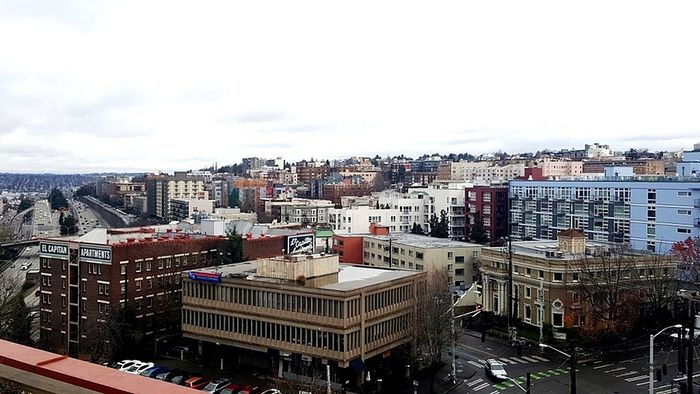 Pine Minor View