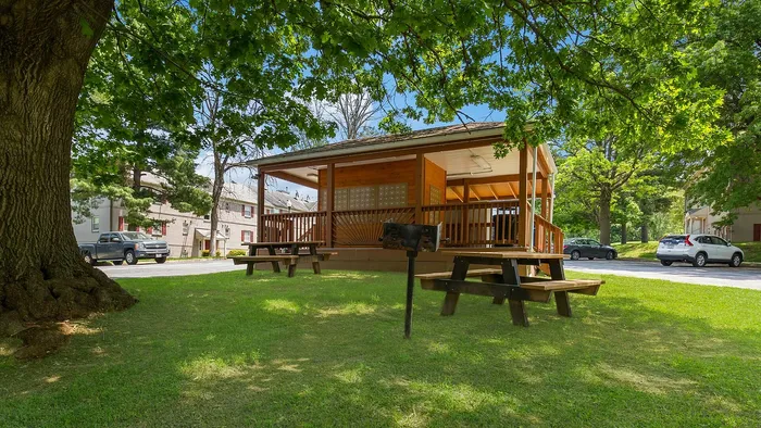 Peaceful outdoor pavilion with picnic tables surrounded by lush greenery and mature trees.