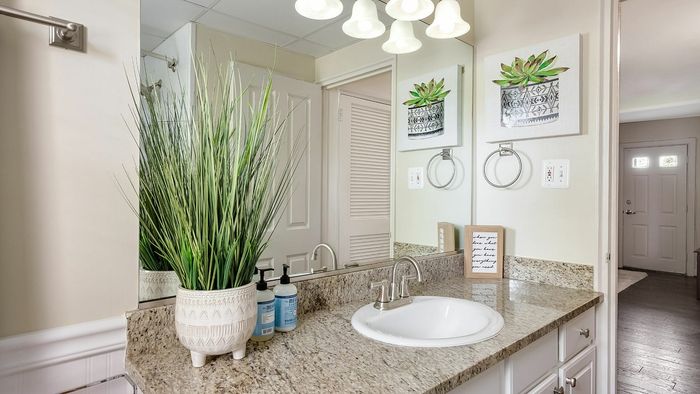 Modern bathroom with granite countertop, stylish potted plant, and sleek fixtures.
