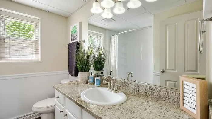 Bright and stylish bathroom featuring a granite countertop, modern sink, and lush potted plants.
