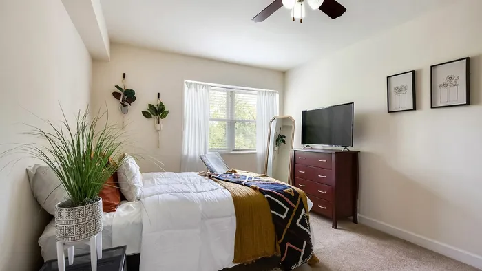 Bright and airy bedroom with stylish decor, featuring a large bed, indoor plants, and a wall-mounted TV.