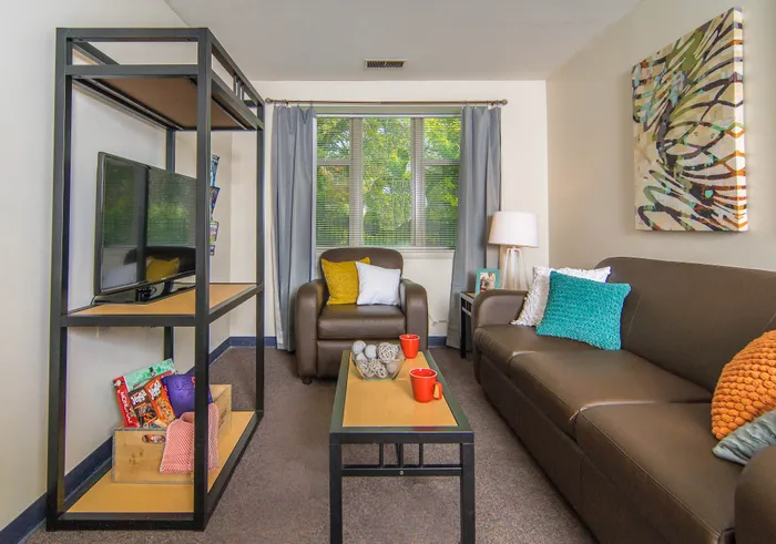 Inviting living room with a modern brown leather couch, vibrant throw pillows, and a sleek TV stand.
