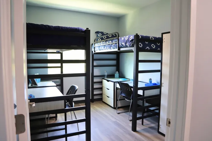 Modern, inviting room with two elevated bunk beds, ample natural light, and neatly arranged study desks.