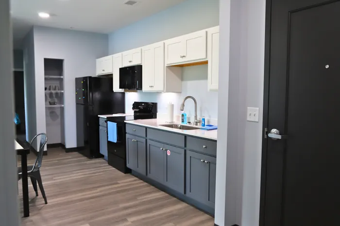 Modern kitchen with sleek gray cabinetry, high-end appliances, and elegant wood flooring creating a sophisticated ambiance.