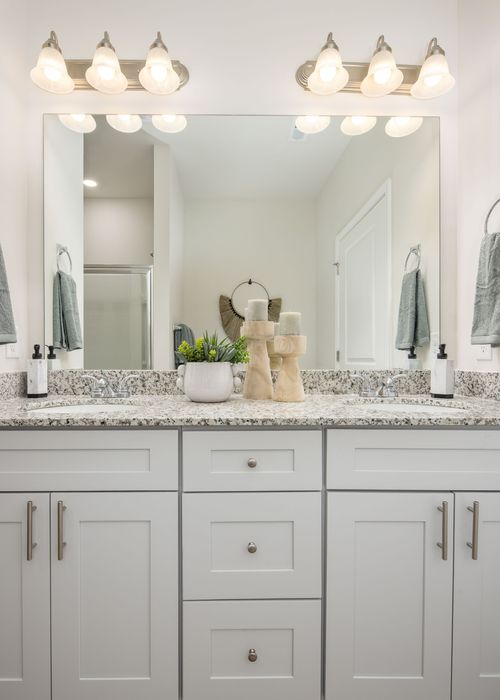 bathroom with dual vanity