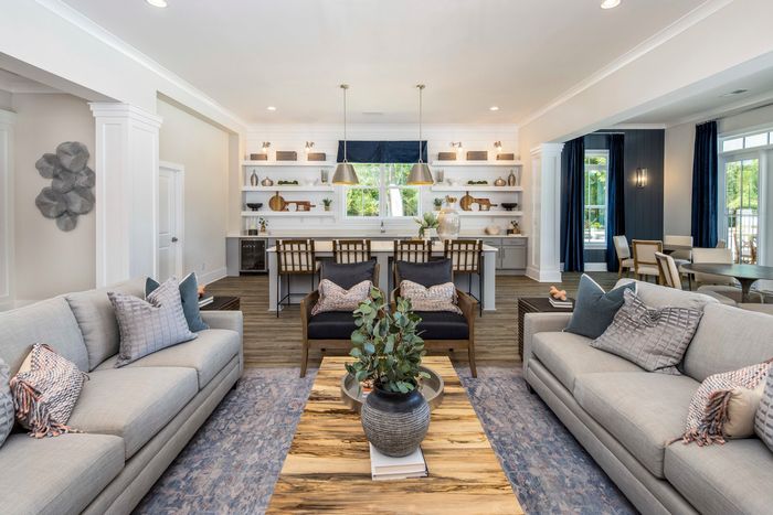 furnished clubroom with sofas and kitchen
