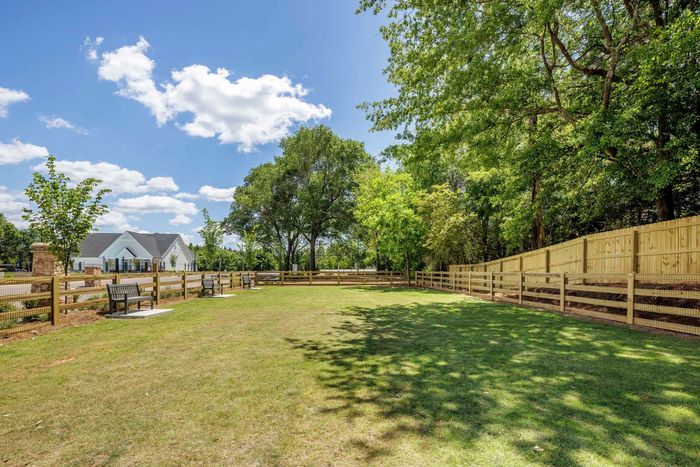 exterior dog park with grassy area and trees on sunny day
