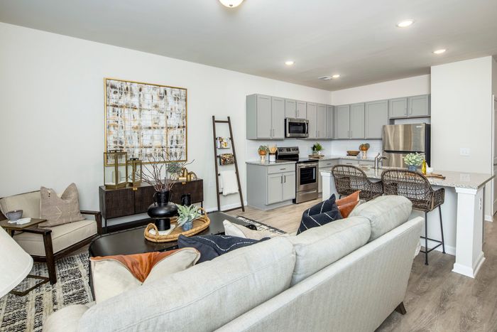 furnished living and kitchne area in single-family home