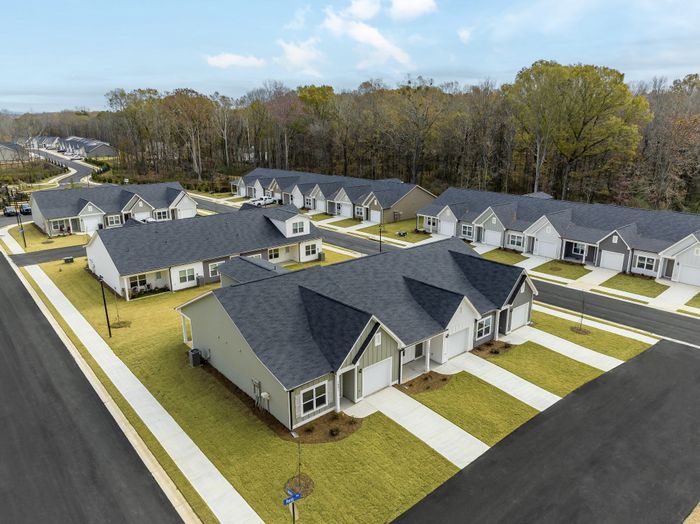 Cottage-style homes with landscaped yards in Cartersville, Georgia