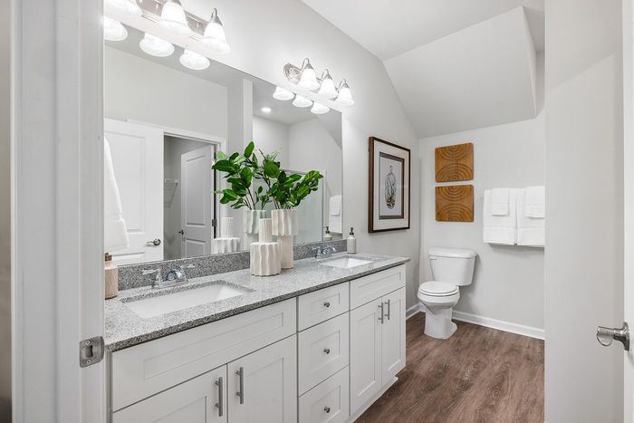 Elegant bathroom featuring a dual-sink vanity with sleek granite countertops, modern lighting, and tasteful decor with leafy accents.