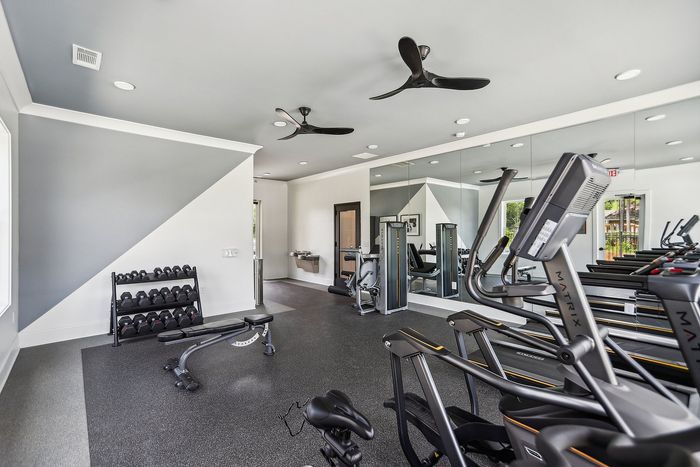 Modern fitness center with state-of-the-art equipment, mirrored walls, and sleek gray accents, perfect for a dynamic workout experience.