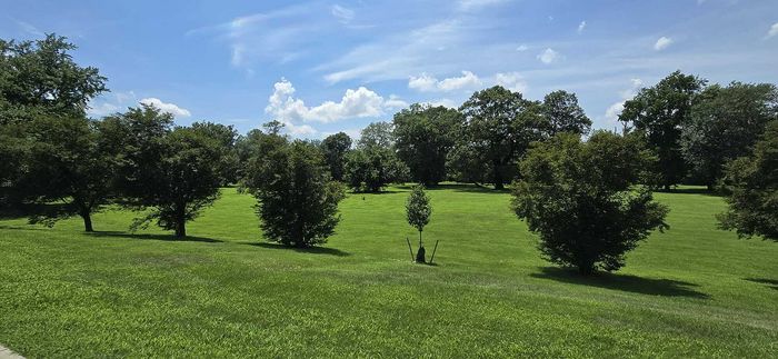 Park
