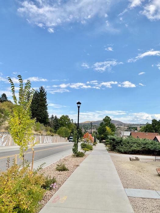 Charming suburban street with a wide sidewalk, lush greenery, and picturesque mountain views.