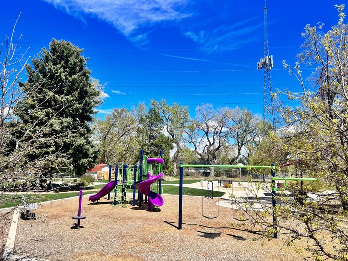 Bright playground featuring purple slides, climbing structures, and swings surrounded by lush greenery.