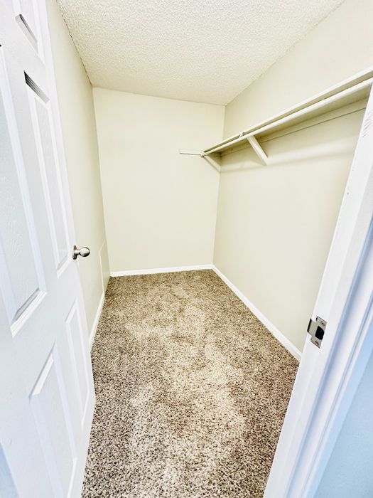 Spacious walk-in closet with plush carpeting and ample hanging space for an organized lifestyle.