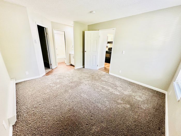 Bright and inviting bedroom with plush carpet, en-suite bathroom, and a view into a modern kitchen.