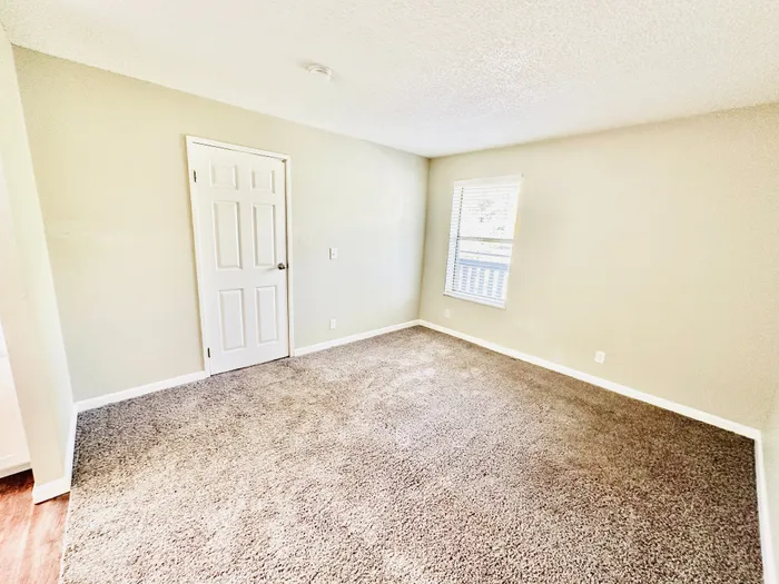 Bright and spacious bedroom with plush carpeting and a large window, offering ample natural light and a serene ambiance.
