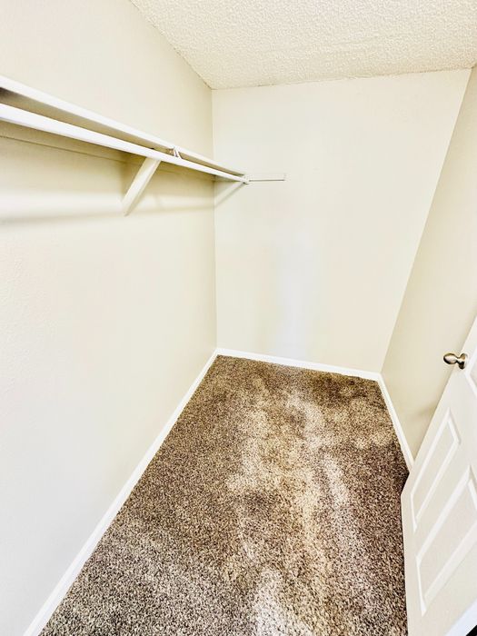 Spacious walk-in closet with plush carpeting and ample shelving, perfect for organized storage.