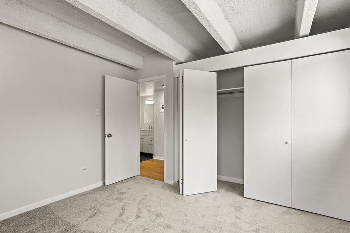 Bright and spacious bedroom with soft carpet flooring and ample closet space, leading to a modern bathroom.