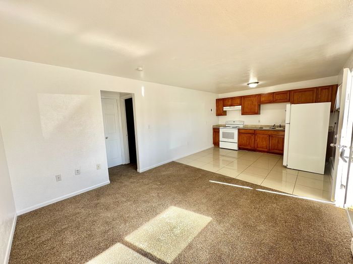 Bright, open-concept living area with modern kitchen, cozy carpeted space, and plenty of natural light.