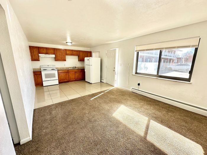 Bright open-concept living area featuring large window, cozy carpet, and modern kitchen with wooden cabinetry.