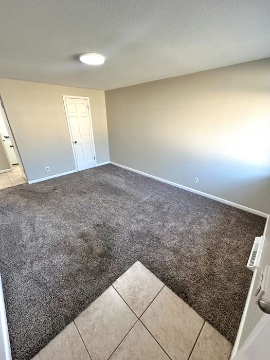 Inviting room with plush carpet, neutral walls, and bright lighting, ideal for a cozy living space.