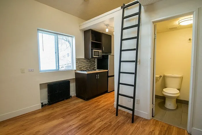 Charming studio apartment with a modern kitchenette, hardwood floors, and a loft ladder beside a cozy bathroom.