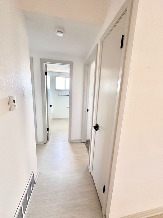 Bright and inviting hallway with modern doors in a contemporary apartment, featuring sleek finishes and light wood flooring.