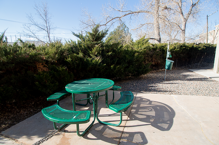 Charming outdoor patio with a vibrant green picnic table surrounded by lush greenery, perfect for leisurely afternoons.