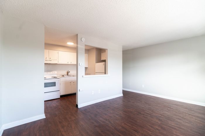 Bright open-plan apartment featuring a cozy kitchen and spacious living area with sleek hardwood flooring.