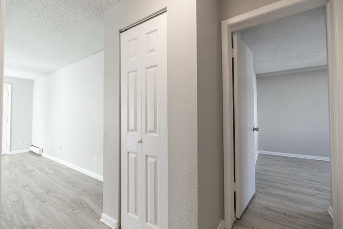 Inviting apartment with sleek interiors, showcasing elegant hardwood floors, a bright hallway, and modern doors.