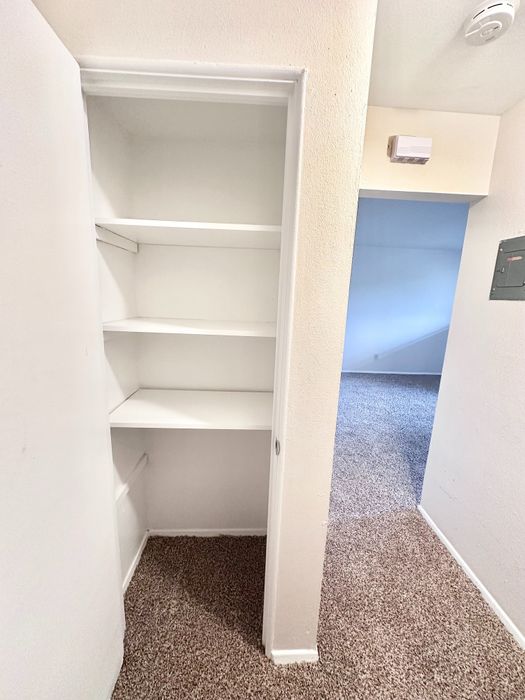 Bright and airy hallway featuring built-in shelving, modern carpeting, and a glimpse of an inviting room, ideal for streamlined storage and spacious living.