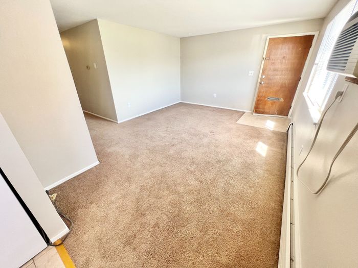 Bright and cozy carpeted living room in an inviting apartment, featuring natural light pouring through the window and a classic wooden door.