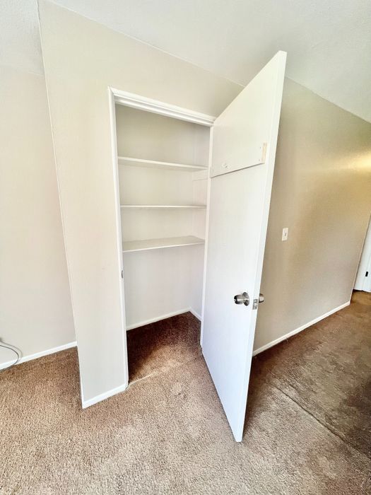 Bright closet space with open shelving, perfect for organized storage, in a well-lit room with plush carpeting.