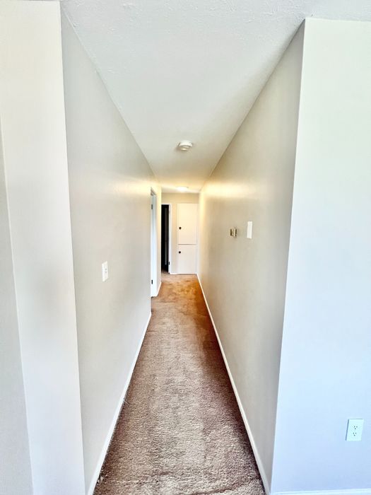 Bright and inviting hallway with soft carpet flooring and neutral walls, leading to a well-lit space, perfect for modern living.
