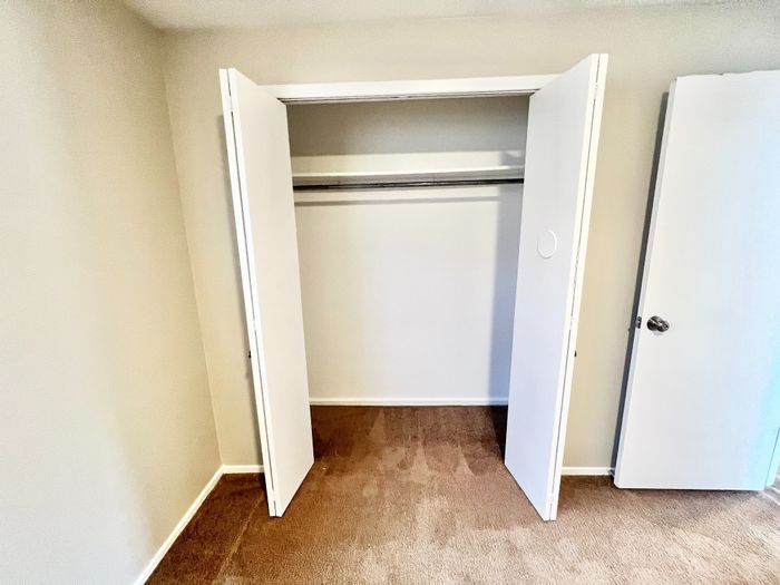 Bright and inviting closet space with white double doors and plush carpet flooring, perfect for organization in a cozy apartment.