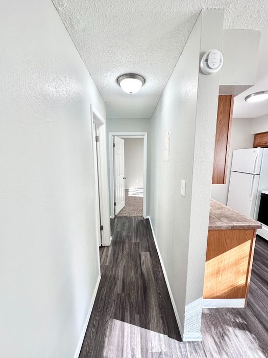 Bright hallway with modern wood flooring leading to spacious rooms, accentuated by natural light and sleek kitchen view.