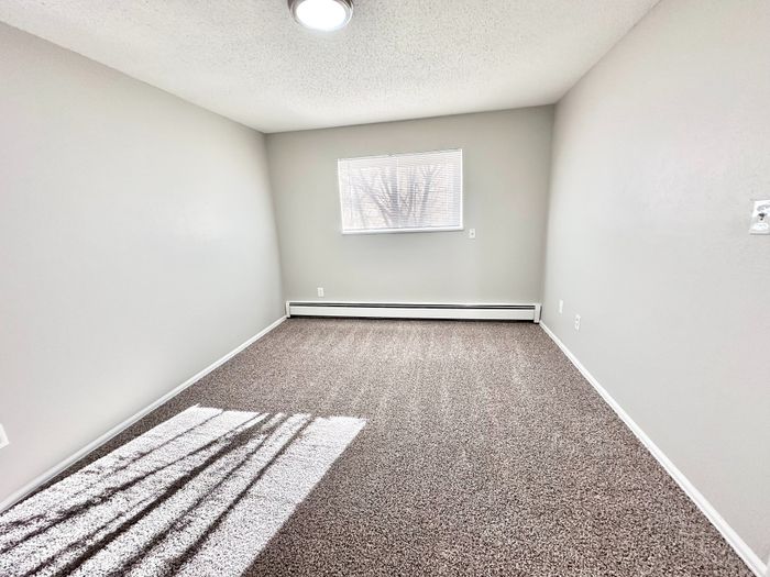 Bright and inviting bedroom with large window and plush carpet under soft natural light.