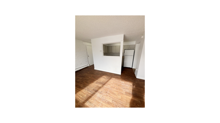Bright apartment living space featuring elegant wood flooring, ample natural light, and a modern open kitchen layout.