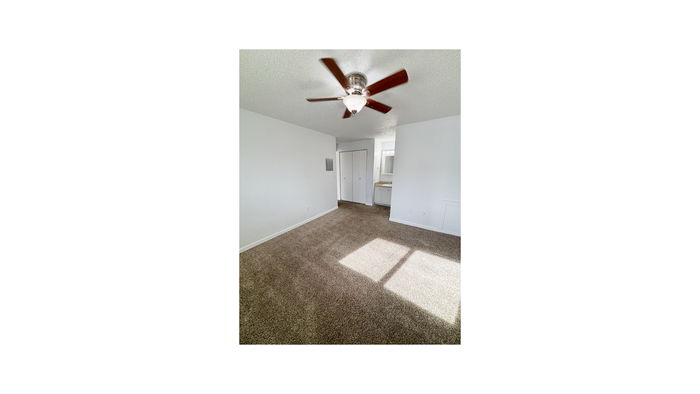 Bright and inviting room with plush carpet, ceiling fan, and natural light creating a cozy atmosphere.