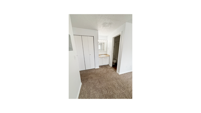 Bright and cozy bedroom with plush carpet, spacious closet, and modern vanity area.