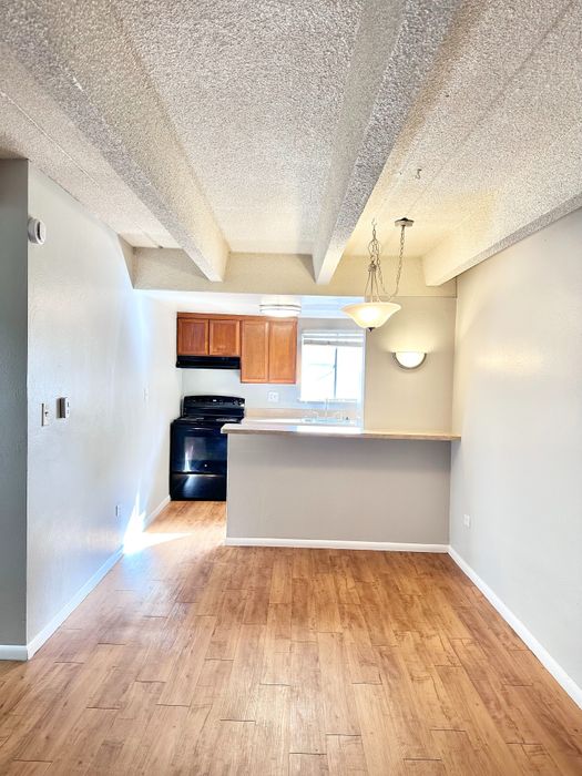 Bright open-concept kitchen with modern lighting, wooden floor, and ample natural light. Ideal for cozy dining and living.